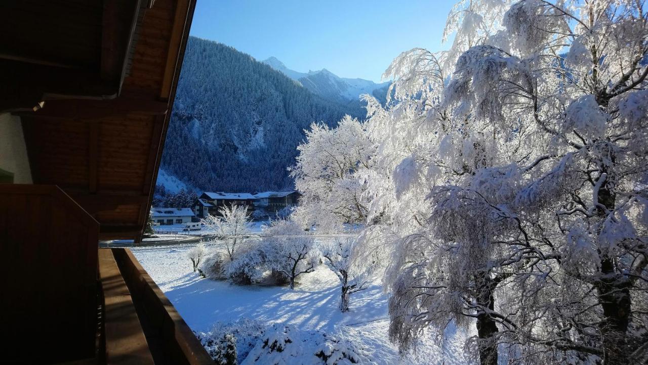 Hotel Garni Birkenhof Mayrhofen Ngoại thất bức ảnh